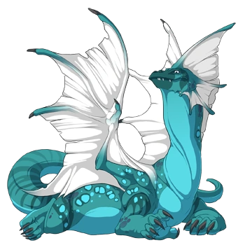 Turquoise Clown on a female Bogsneak