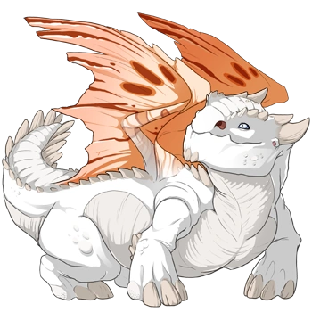 Cantaloupe Noxtide on a female Snapper