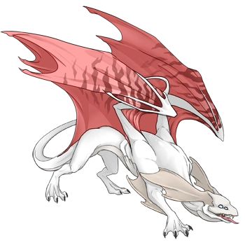 Blush Safari on a male Mirror