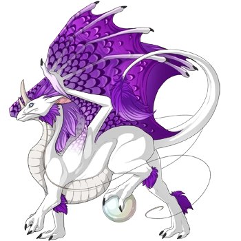 Orchid Edged on a male Pearlcatcher