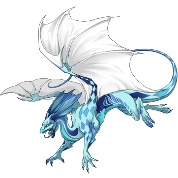 Splash Harlequin on a female Mirror