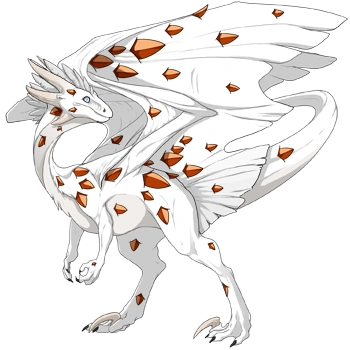 Terracotta Keel on a male Wildclaw