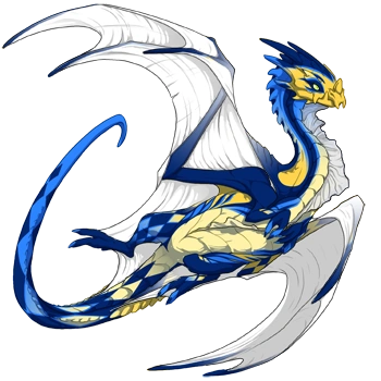 Lapis Harlequin on a female Nocturne