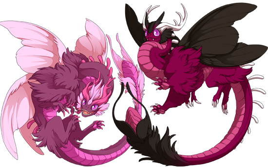 Aether Dragon Flight Rising Wiki Fandom Latest