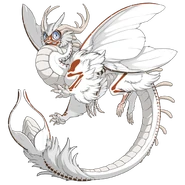 Copper Ghost on a male Aether