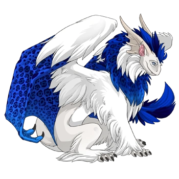 Ultramarine Rosette on a male Tundra