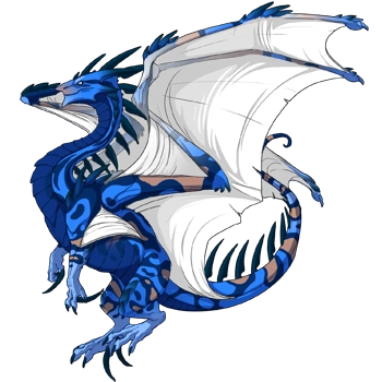 Lapis Swirl on a female Ridgeback