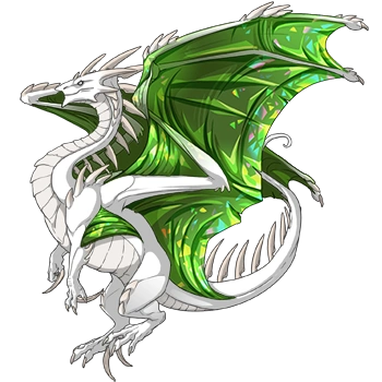 Avocado Facet on a female Ridgeback