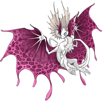 Mauve Clouded on a female Fae