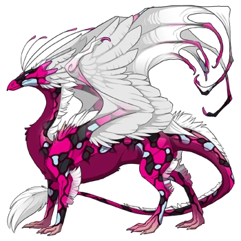 Fuchsia Mosaic on a male Skydancer