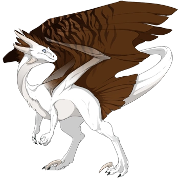 Chocolate Safari on a male Wildclaw