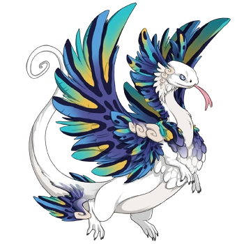 Iris Saddle on a male Coatl