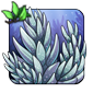 Succulent Spears - Longneck Scrapper