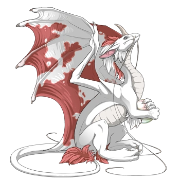 Paint on a female Pearlcatcher