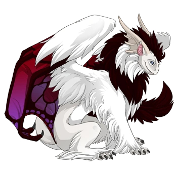 Crimson Butterfly on a male Tundra