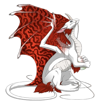 Tomato Hypnotic on a female Pearlcatcher