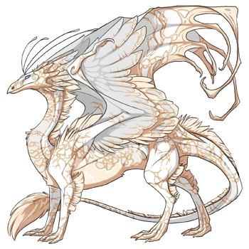 Cream Crackle on a male Skydancer