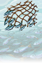 Frigidfin Expedition