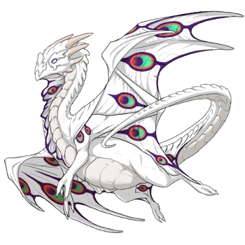 Pumpkin Peacock on a male Nocturne