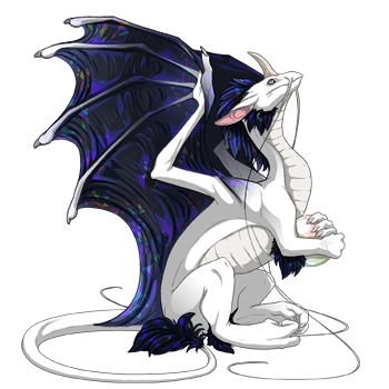 Midnight Facet on a female Pearlcatcher