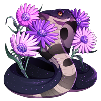 Aster_of_Starfall.png Aster_of_Starfall.png