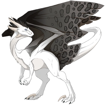 Coal Clouded on a male Wildclaw