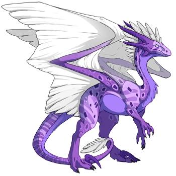 Purple Clown on a female Wildclaw