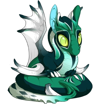 Spearmint Harlequin on a hatchling Spiral