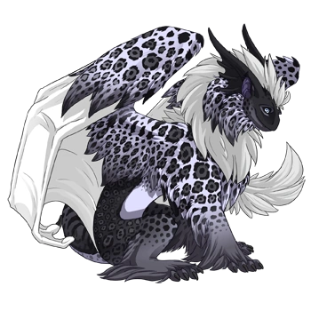 Orca Jaguar on a male Tundra