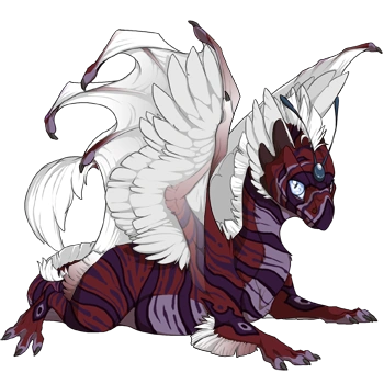 Maroon Lionfish on a hatchling Skydancer