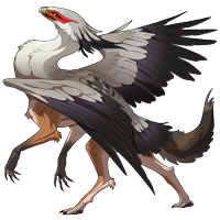 flying gryphon