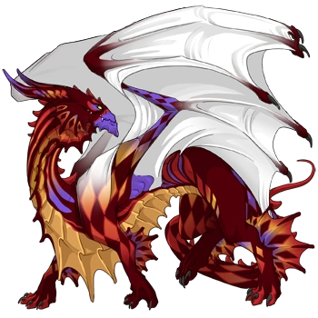 Red Harlequin on a female Guardian