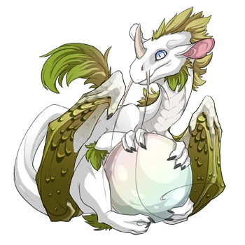 Spring Edged on a hatchling Pearlcatcher