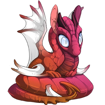 Carmine Iridescent on a hatchling Spiral