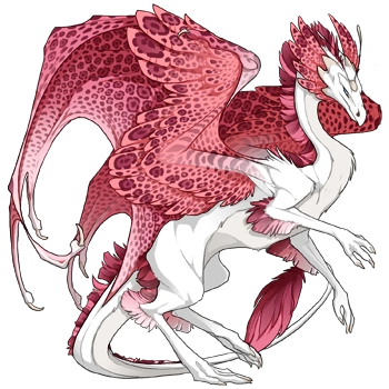 Cottoncandy Rosette on a female Skydancer