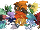 Dragon Breeds