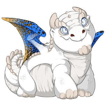 Lapis Rosette on a hatchling Snapper