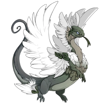 Charcoal Iridescent on a male Coatl