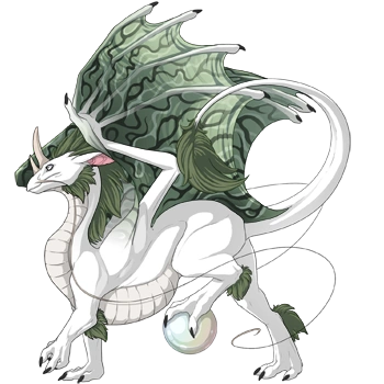 Saturn on a male Pearlcatcher