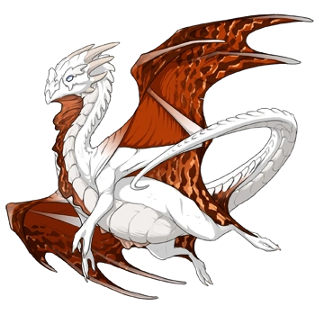 Terracotta Peregrine on a male Nocturne