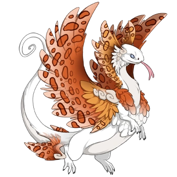 Orange Clouded on a male Coatl