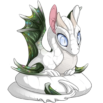 Camo Facet on a hatchling Spiral