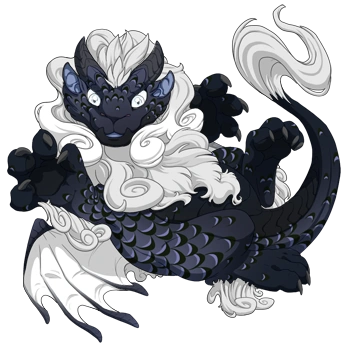 Midnight Laced on a hatchling Obelisk