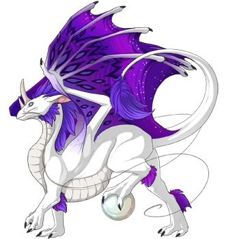 Grape Flair on a male Pearlcatcher