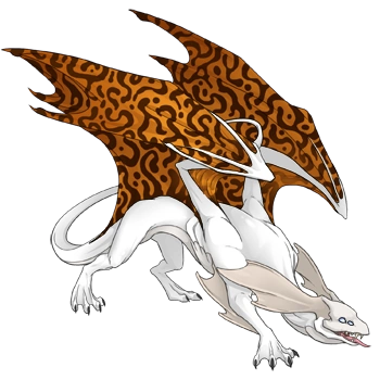 Bronze Hypnotic on a male Mirror