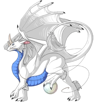 Cornflower Underbelly on a male Pearlcatcher