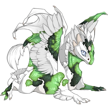 Fern Koi on a hatchling Skydancer
