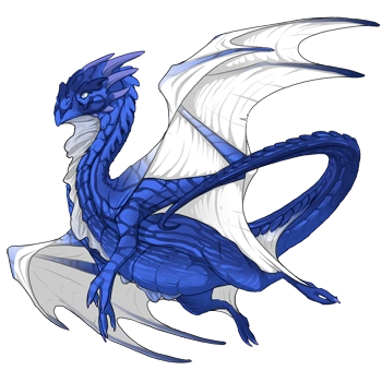 Ripple on a male Nocturne