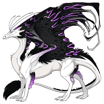 Orchid Sarcophagus on a male Skydancer