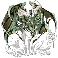 Algae Saddle on a female Aberration